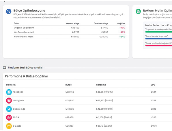Meta Ads Analytics Dashboard Interface